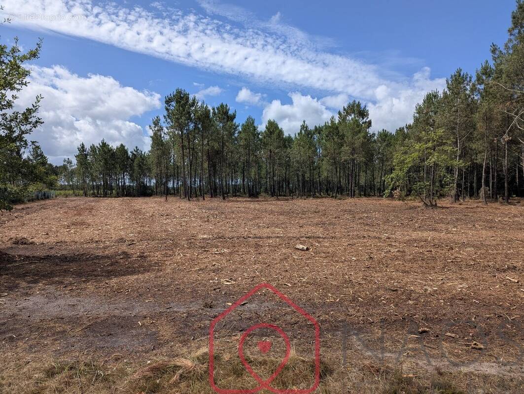 Terrain à PARENTIS-EN-BORN