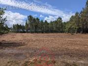 Terrain à PARENTIS-EN-BORN