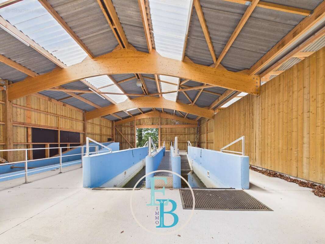 Grangues (pays d'auge) - centre d'entrainement et de reeducation equin avec balneotherapie - photo 10