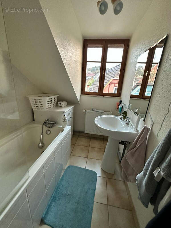 Appartement à RIBEAUVILLE