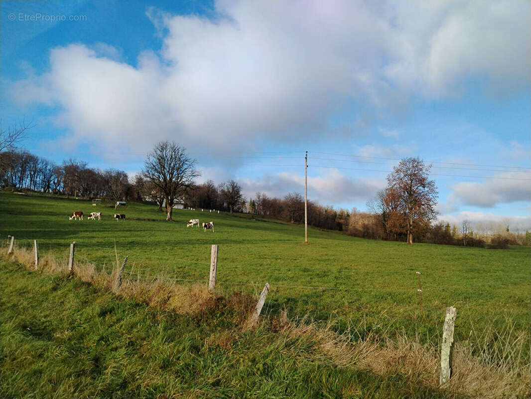 Terrain à SAINTE-ANNE
