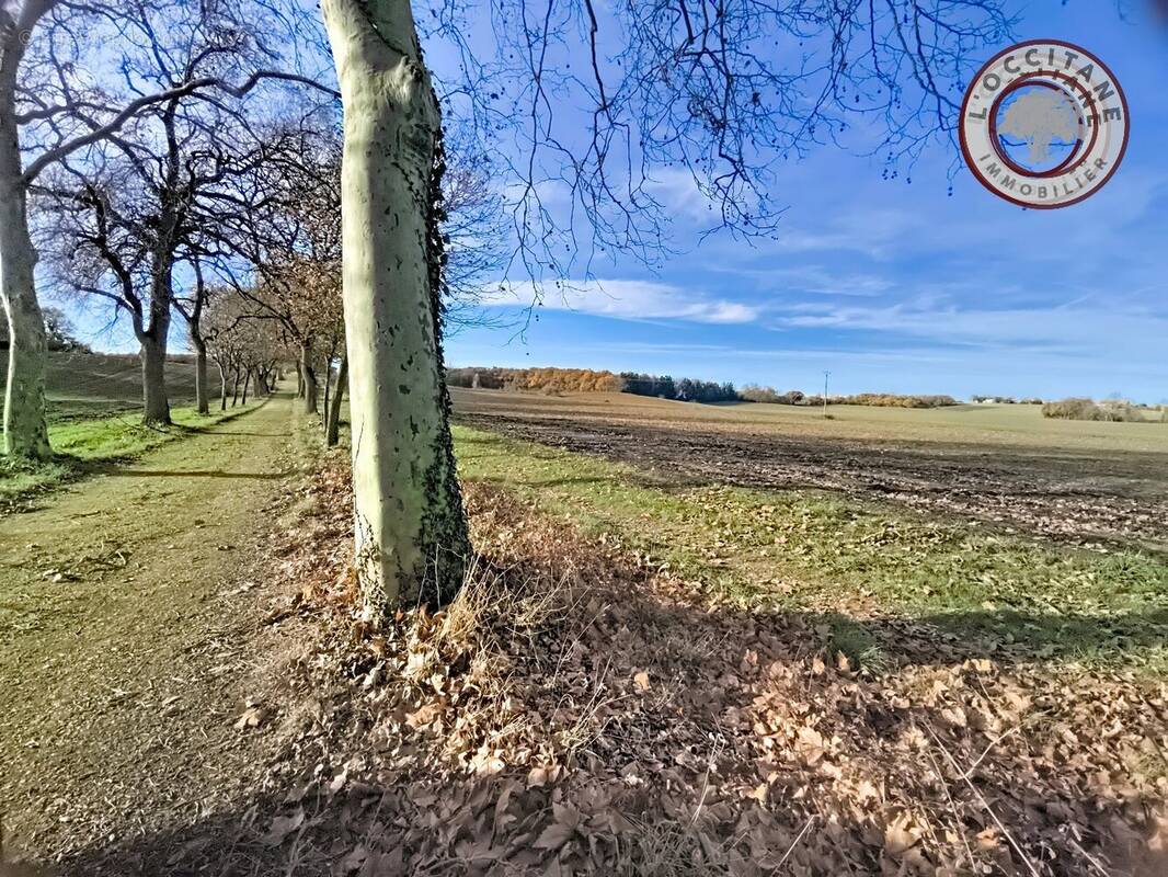 Terrain à MAUVEZIN