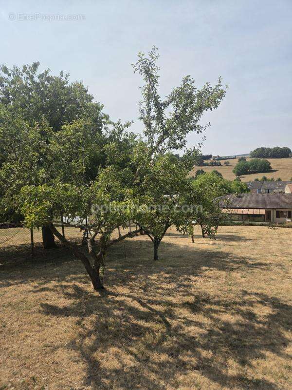 A VENDRE en EXCLUSIVITE maison de famille 5 chambres, 35 ares de terrain et petit hangar - photo 30