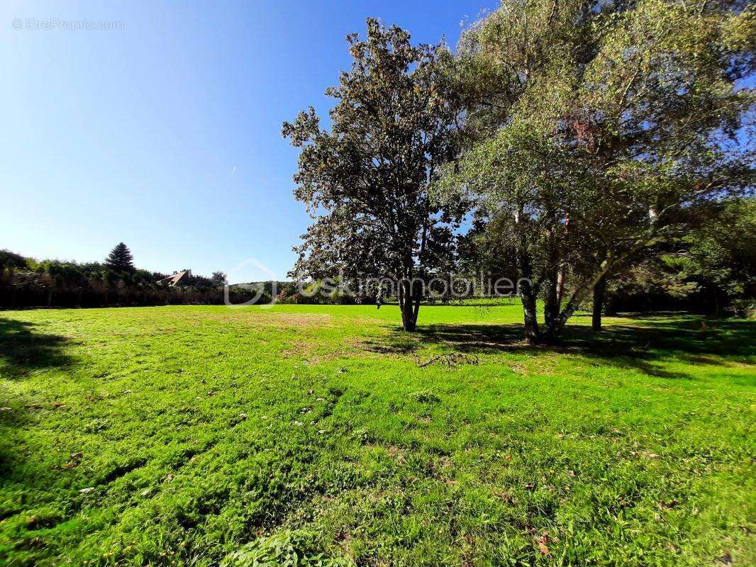 Terrain à COGNAC-LA-FORET