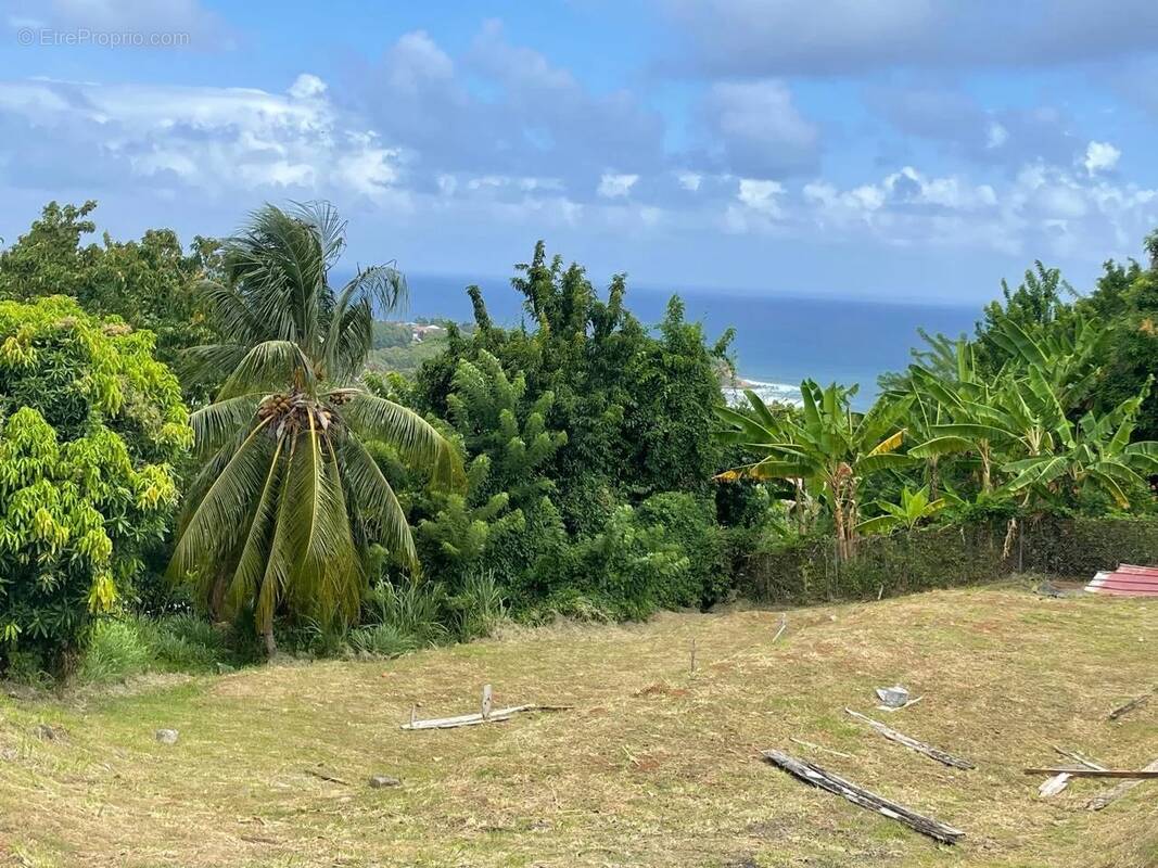 Terrain à LE MARIGOT