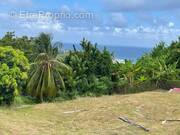 Terrain à LE MARIGOT