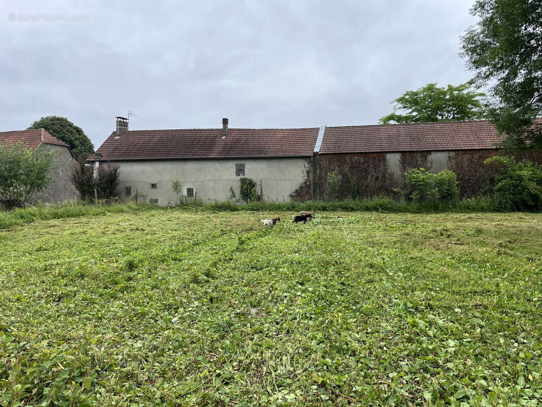 terrain a bâtir - photo 3