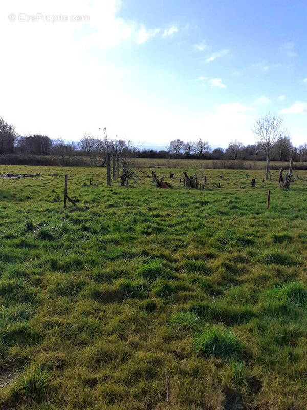 Terrain à TALMONT-SAINT-HILAIRE