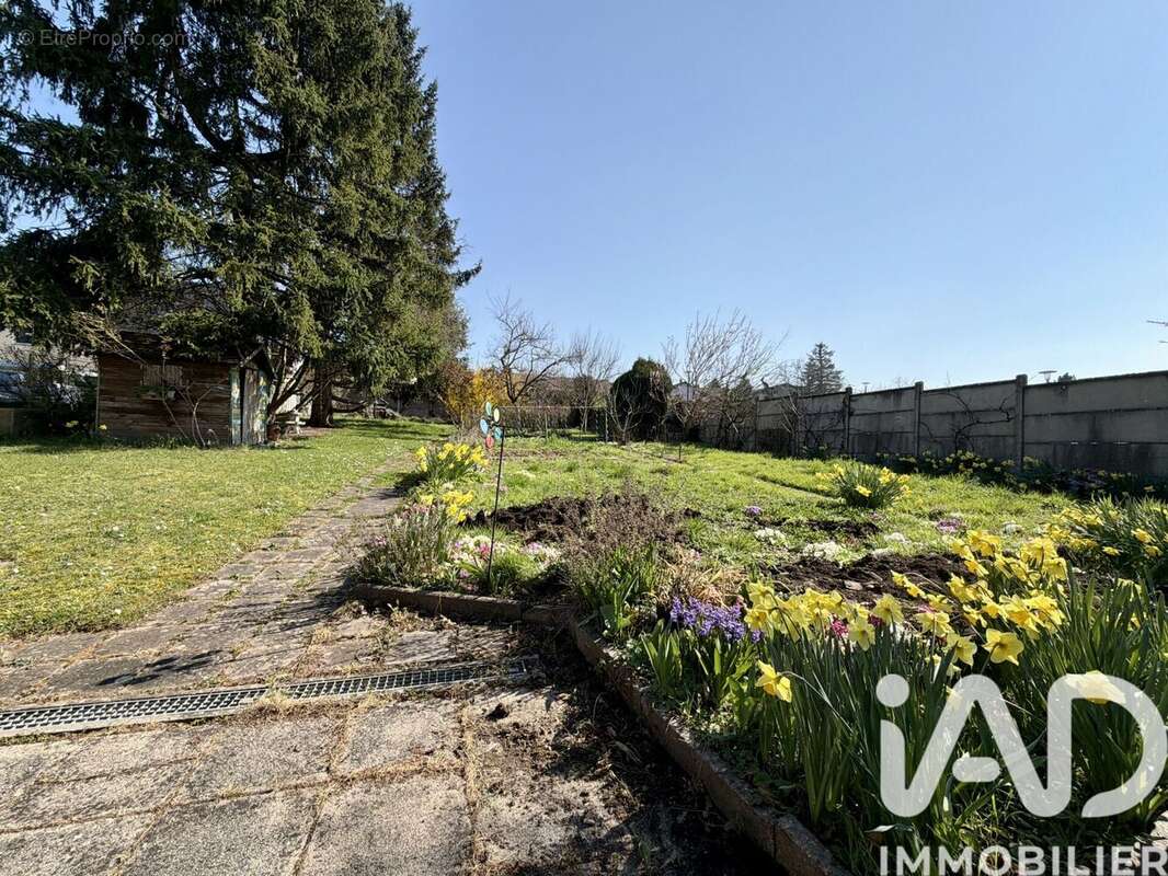 Photo 4 - Maison à SARREBOURG