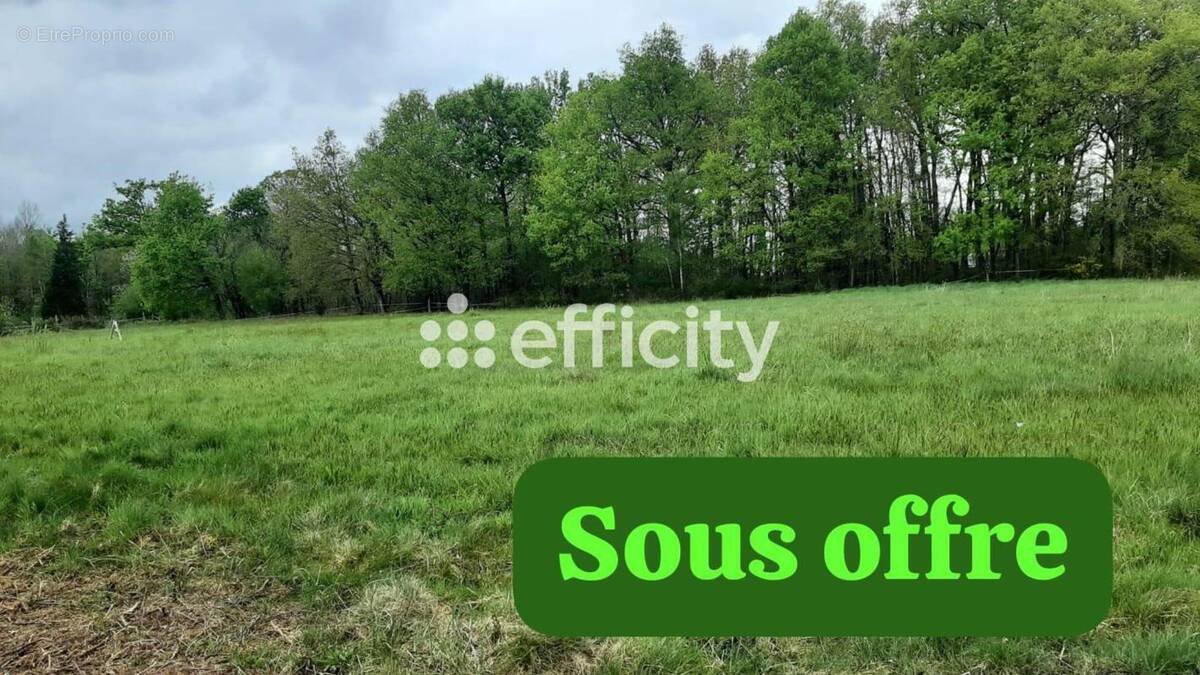 Terrain à SAINT-AUVENT