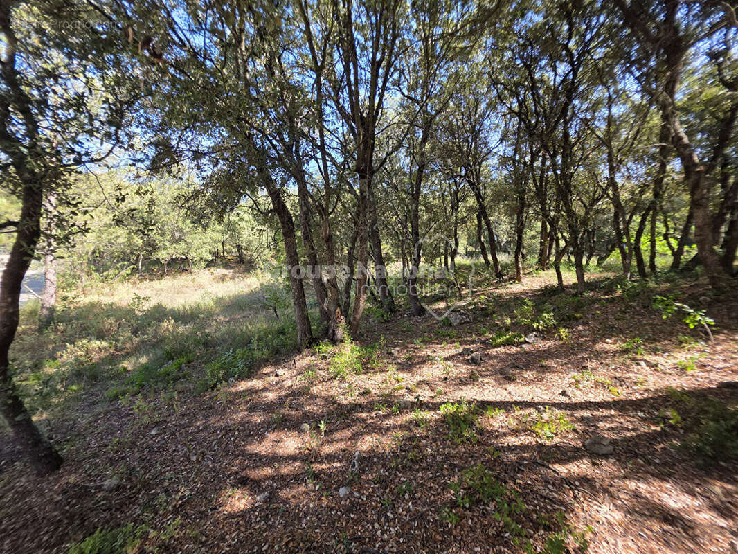 Terrain à bâtir de 1 011 m² à Ginasservis - photo 5