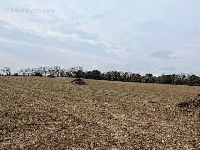 Terrain à SAINT-HILAIRE-D&#039;OZILHAN