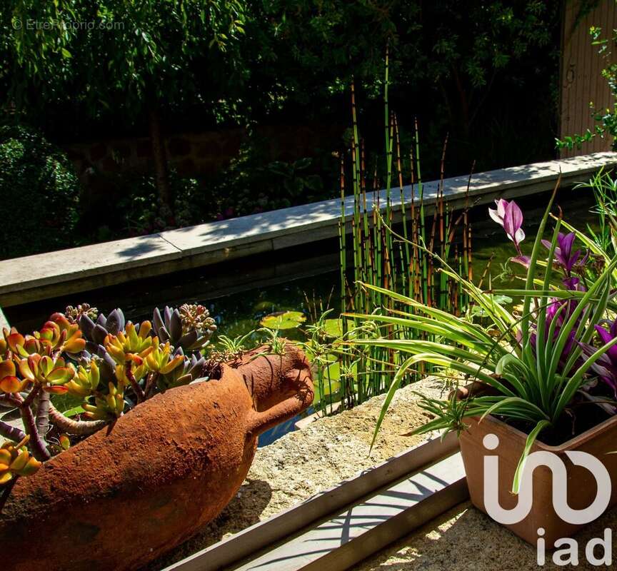 Photo 4 - Maison à CHATEAUNEUF-DU-PAPE