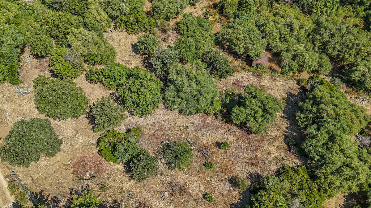 Terrain constructible 4000 m2 vue mer et montagnes - photo 4