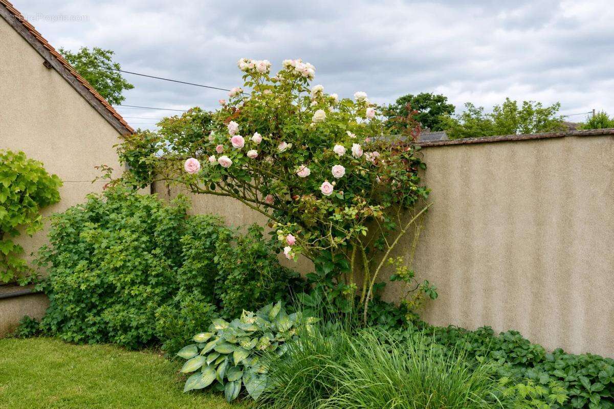 Maison à COUTURE-SUR-LOIR