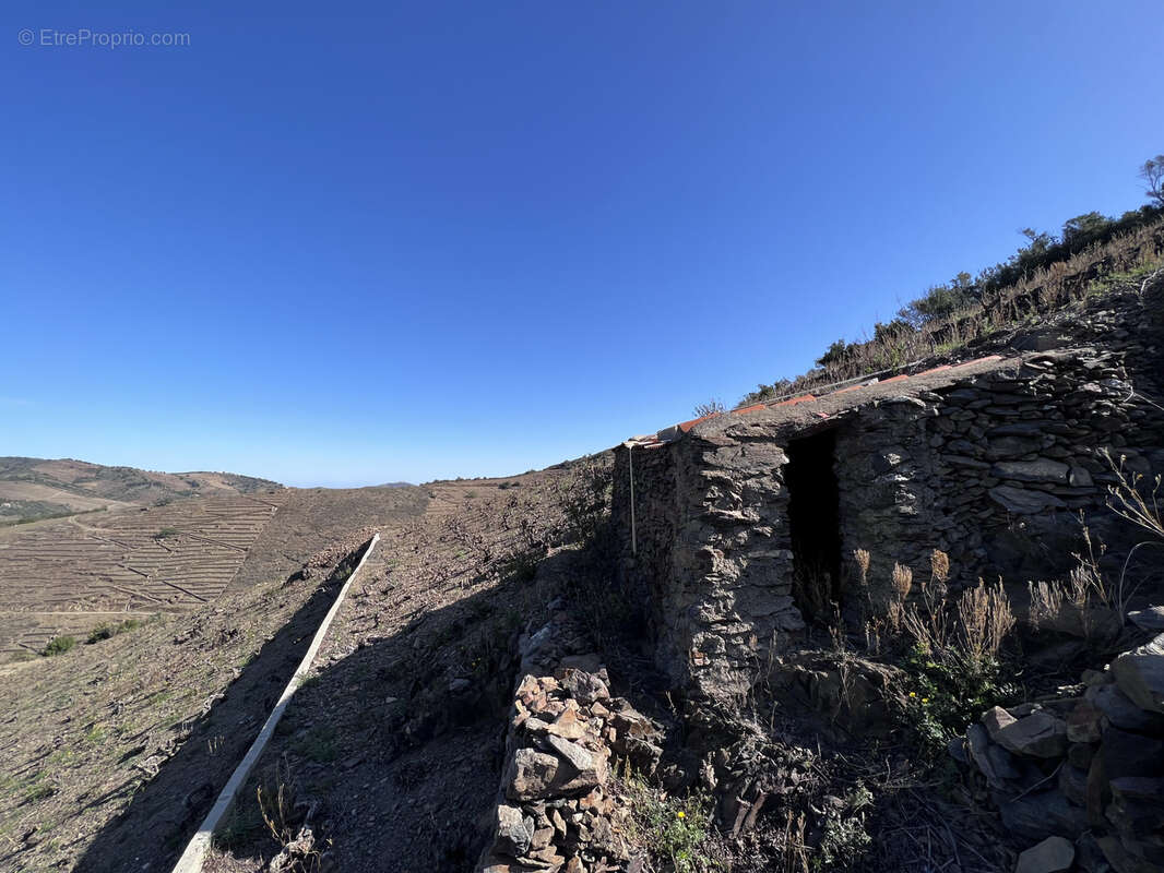 Terrain à BANYULS-SUR-MER