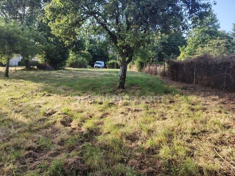 Terrain à vendre Guer (56) - 2930 m² dont 556m² constructibles - EXCLUSIVITÉ - photo 3