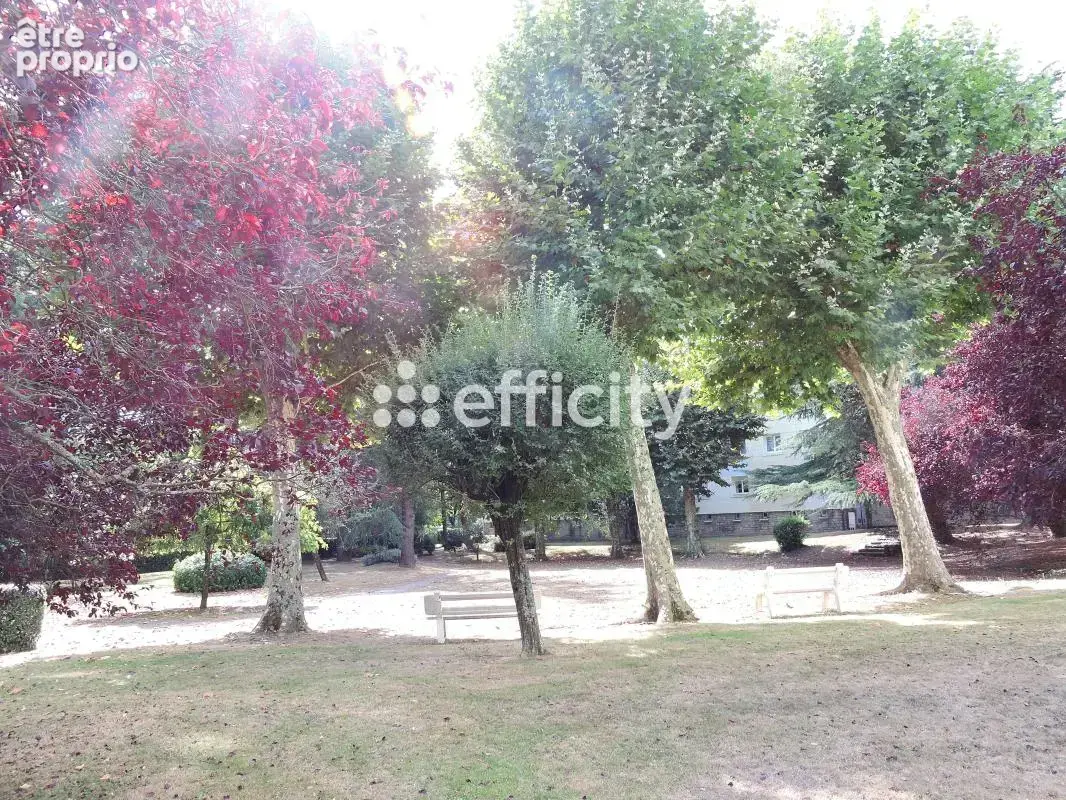 Appartement - photo 10