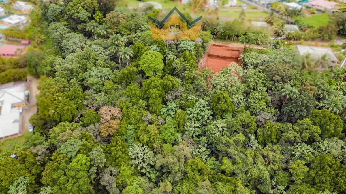 Terrain à PETIT-BOURG