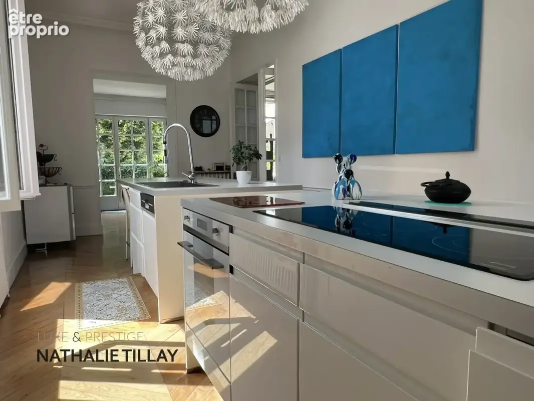 Orléans, Dunois, maison bourgeoise à vendre de 265 m² avec jardin et garage - photo 8