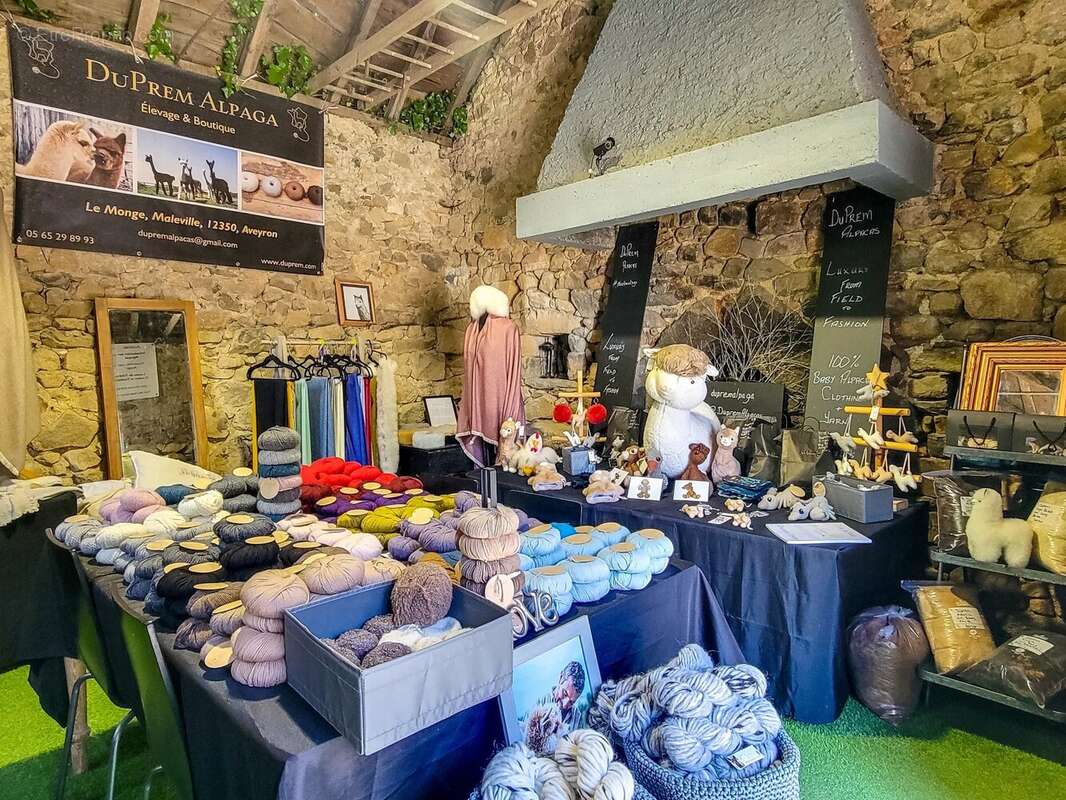 Commerce à VILLEFRANCHE-DE-ROUERGUE