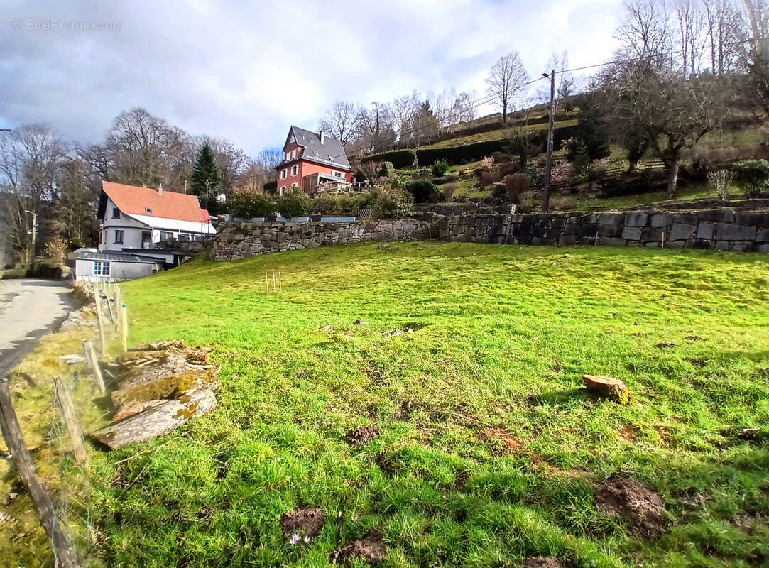 Terrain à STOSSWIHR