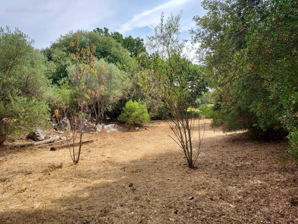 Terrain à CAMPS-LA-SOURCE