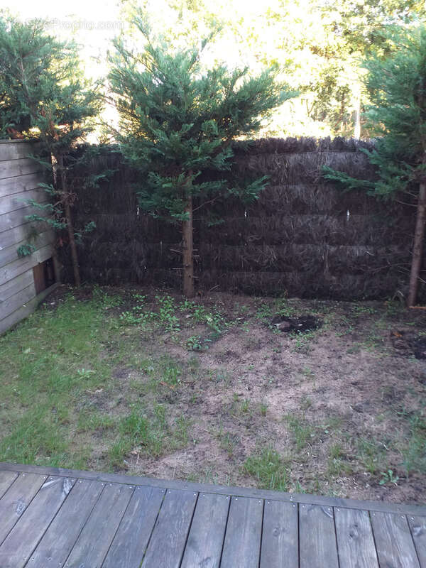 Appartement à LEGE-CAP-FERRET