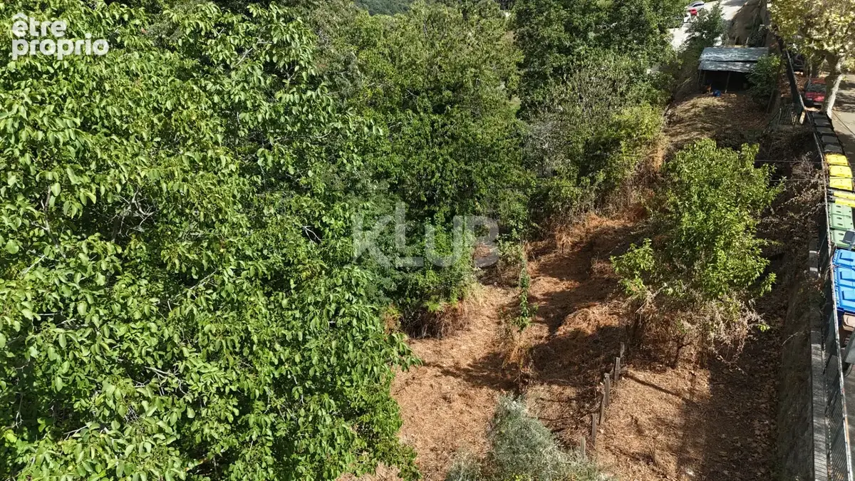 Terrain 685 m² - Vue mer - Porri - photo 3