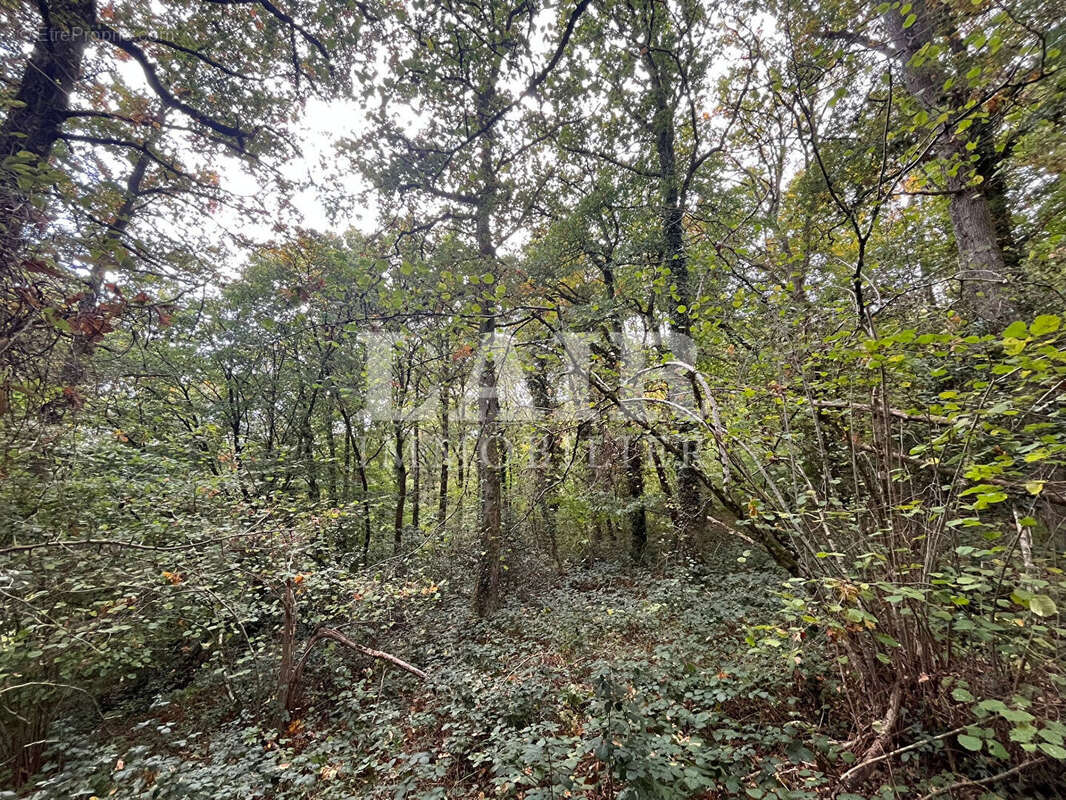 Terrain à LONGNY-AU-PERCHE