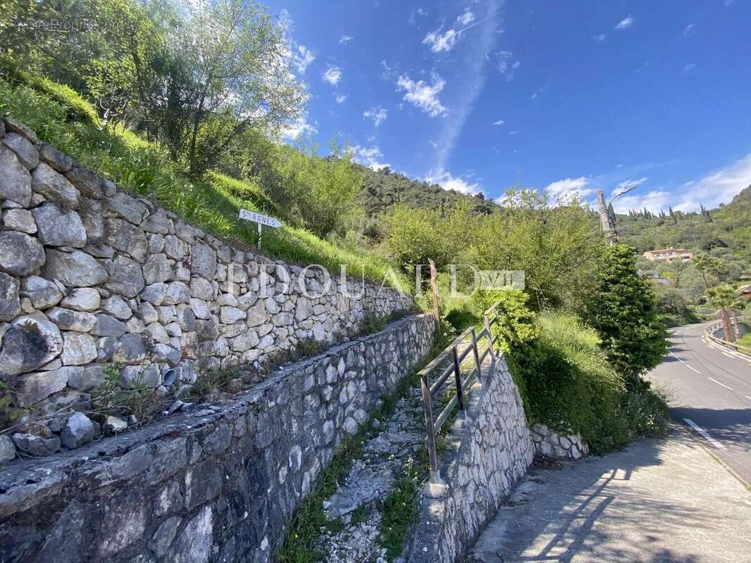 Terrain à SAINTE-AGNES