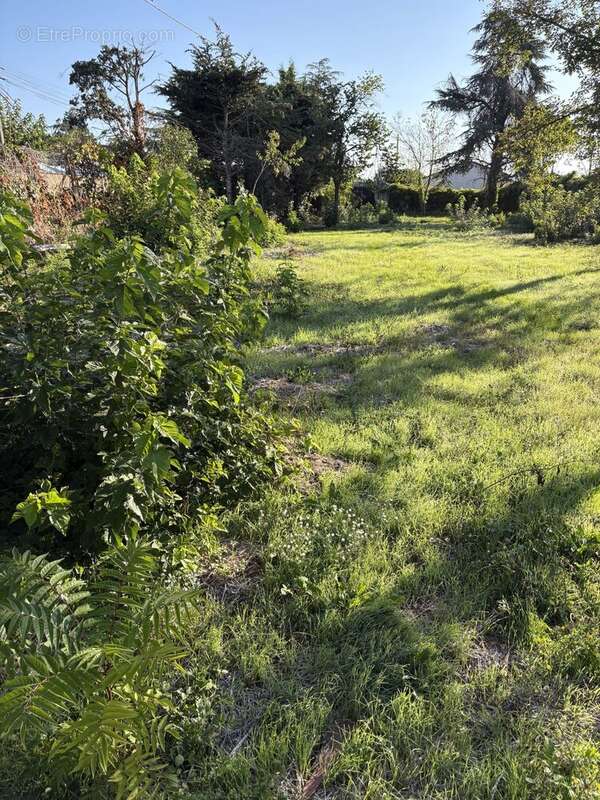 Terrain à ROMANS-SUR-ISERE