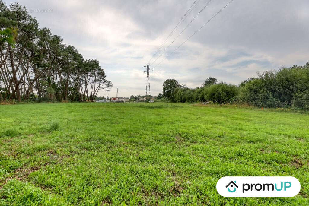 Terrain à SAINT-MARS-LA-BRIERE