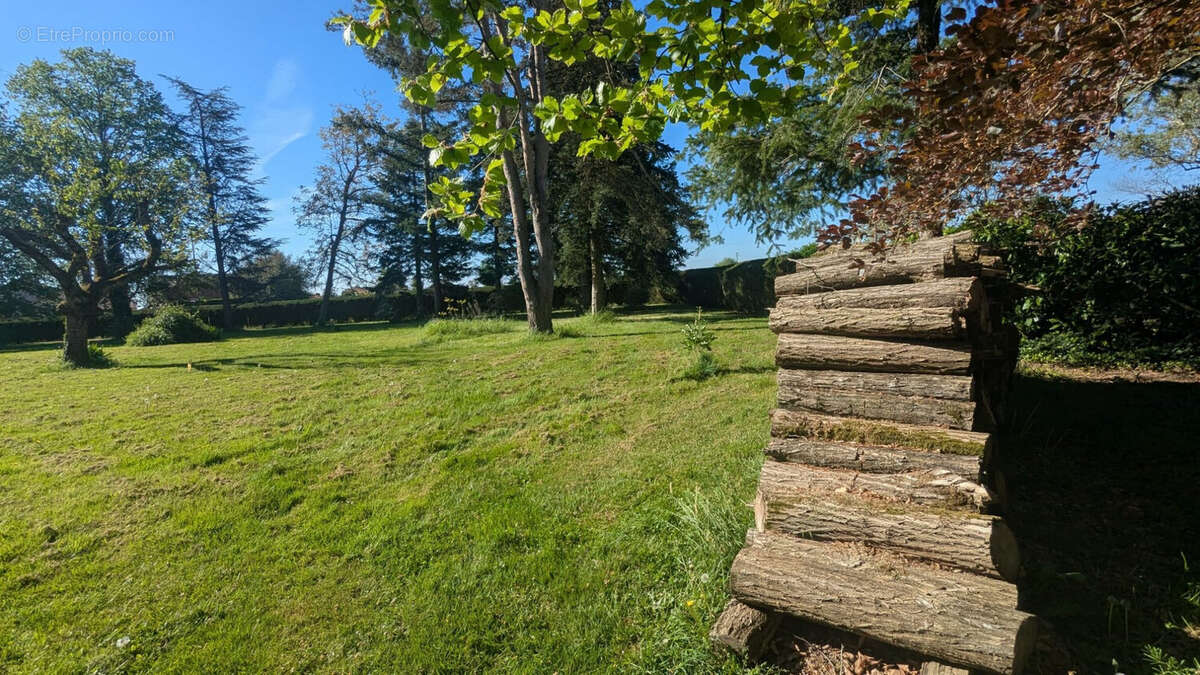 Terrain à SERMESSE