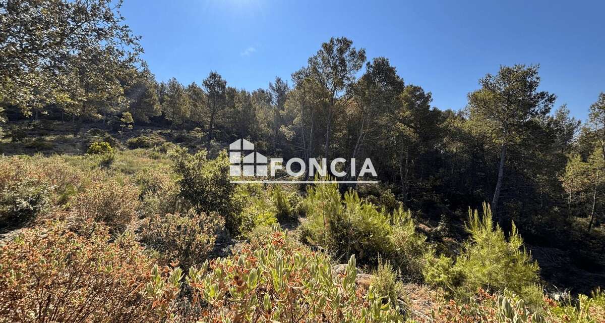 Maison à SAINT-PIERRE-DES-CHAMPS