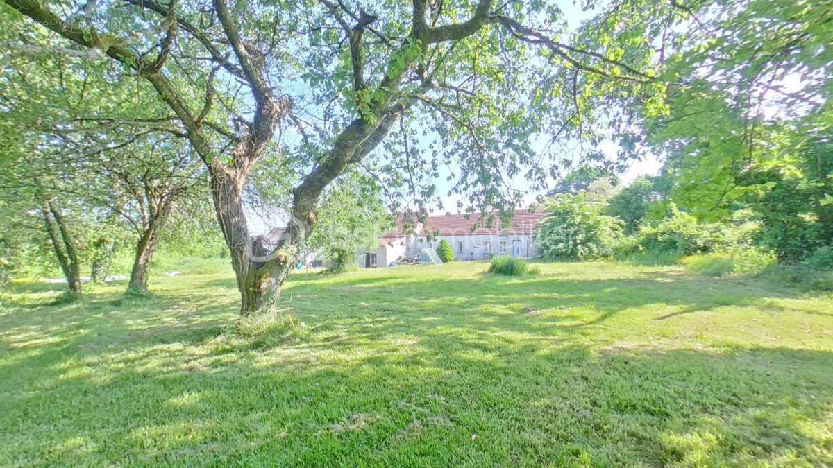 Maison à PERCENEIGE