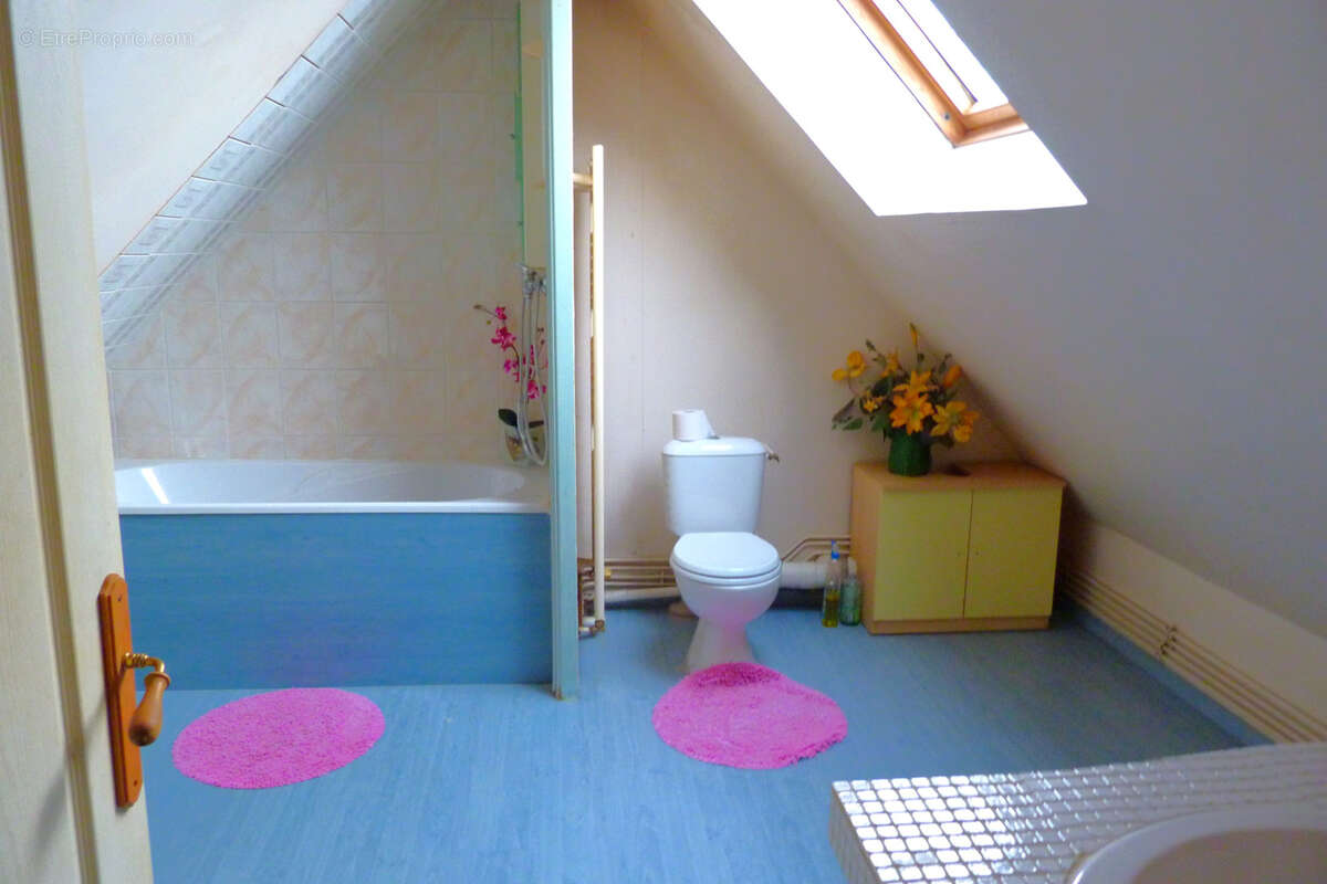 Maison à LA MAILLERAYE-SUR-SEINE