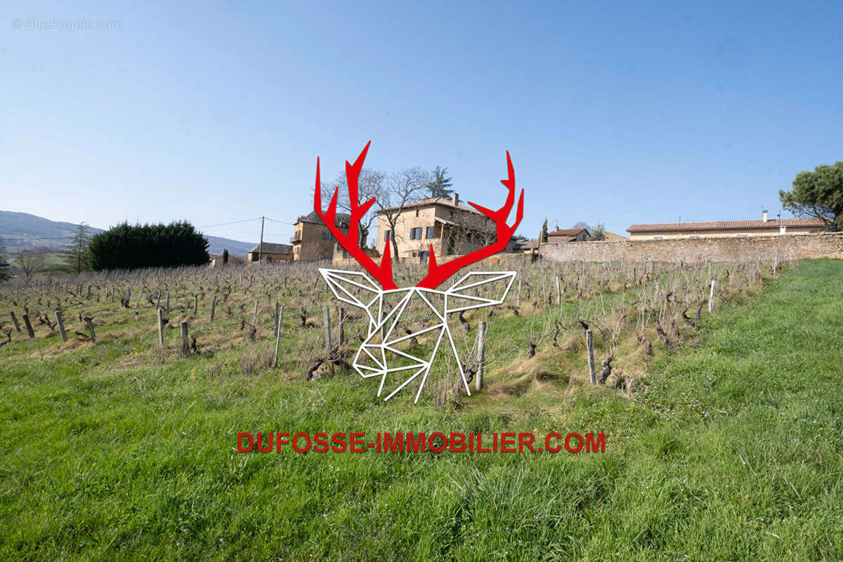 Maison à POUILLY-LE-MONIAL