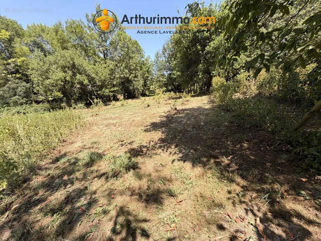 Maison familiale avec dépendances et terrain - 09300 villeneuves d'olmes - photo 20