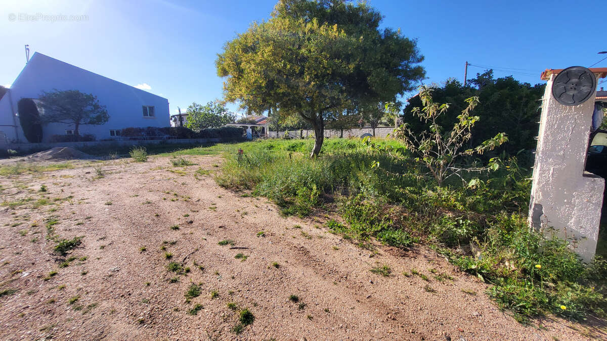 Terrain à MARSEILLAN