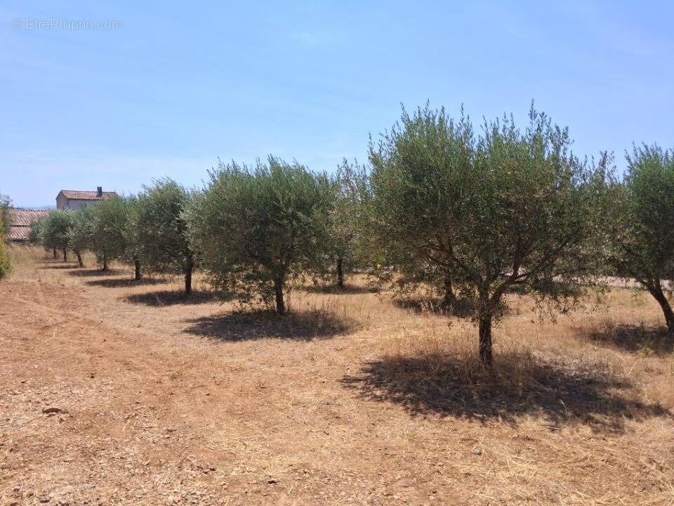 Terrain à TAVERNES