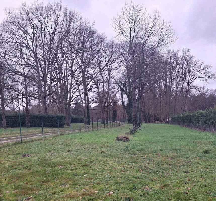 Terrain à BRAIN-SUR-ALLONNES