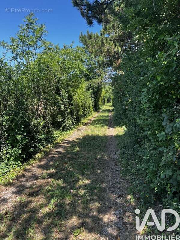 Photo 3 - Terrain à AOUSTE-SUR-SYE