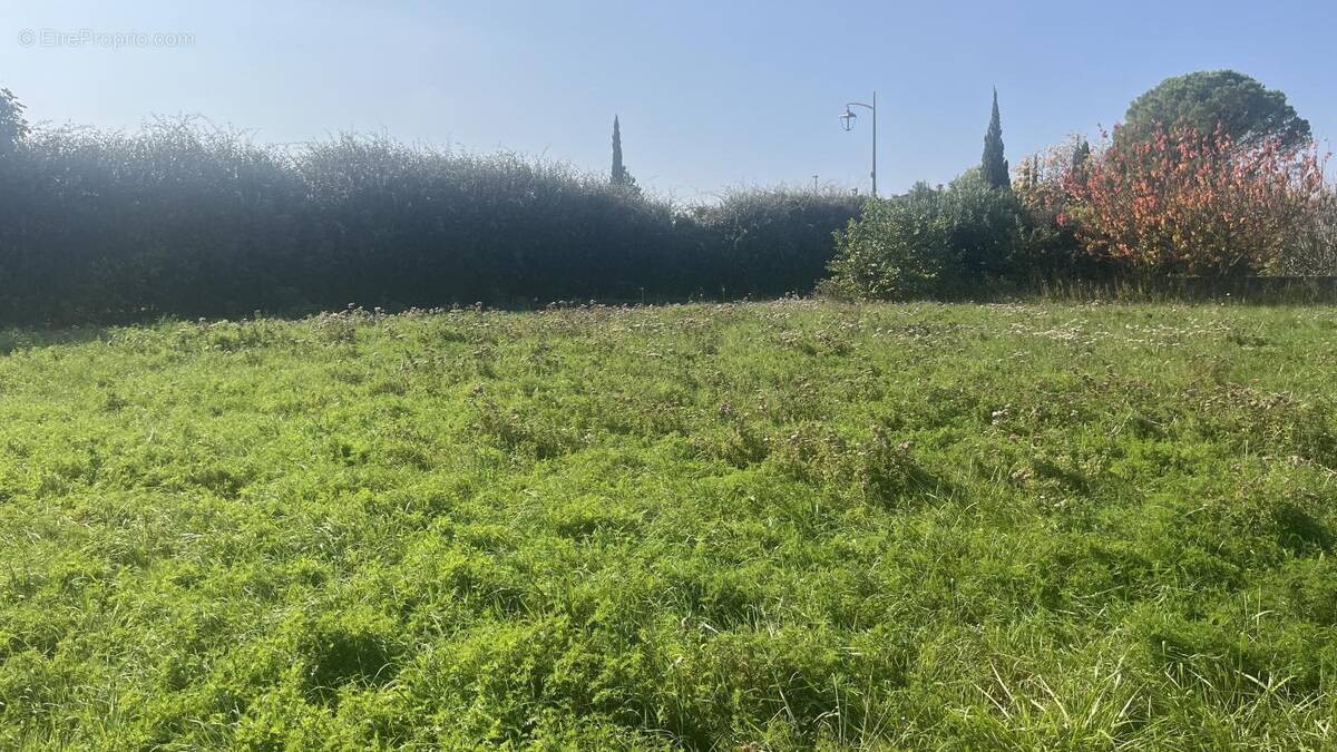 Terrain à ALTHEN-DES-PALUDS