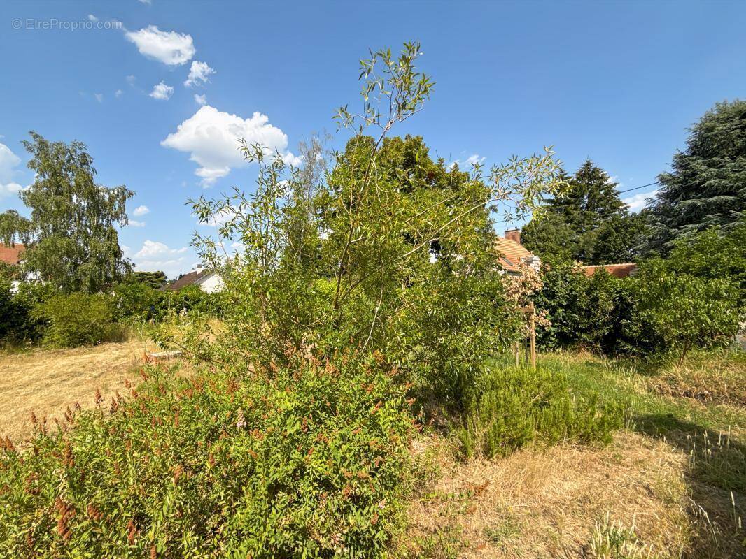 Terrain à OLIVET