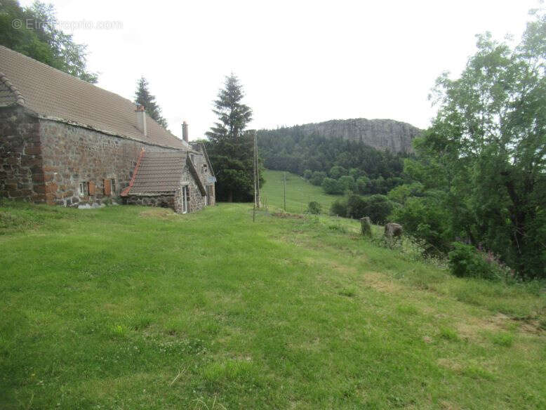 Ferme authentique indépendante avec terrain attenant - photo 3