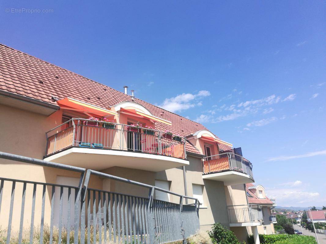 Appartement à WINTZENHEIM