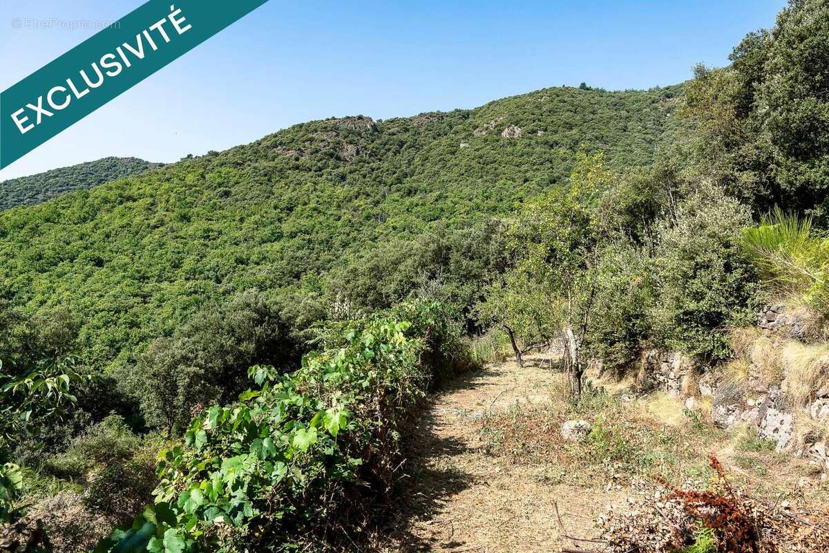 Photo 3 - Maison à LES VANS