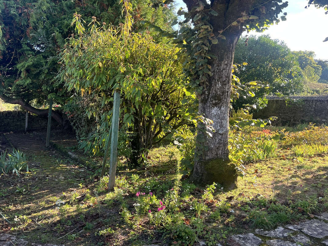 Maison à CHAROLLES