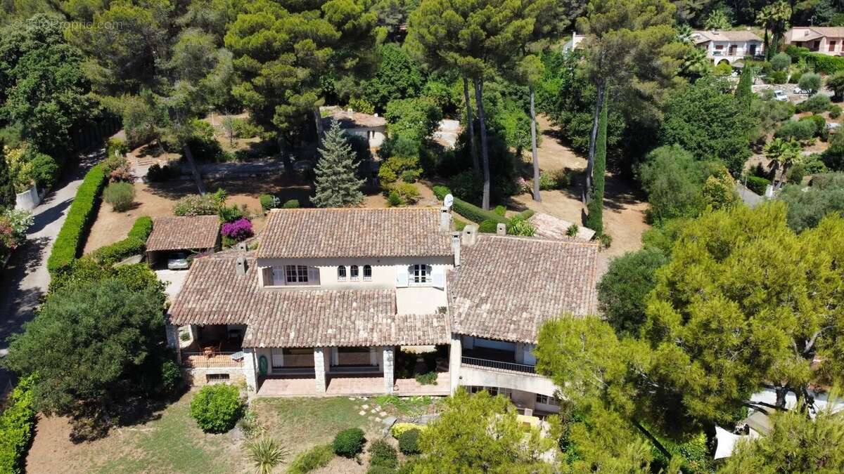 Propriété de caractère à Antibes – Quartier Eucalyptus - photo 4